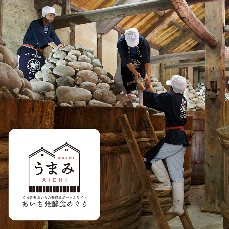 ３発酵食