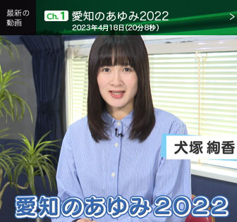 県政レポート